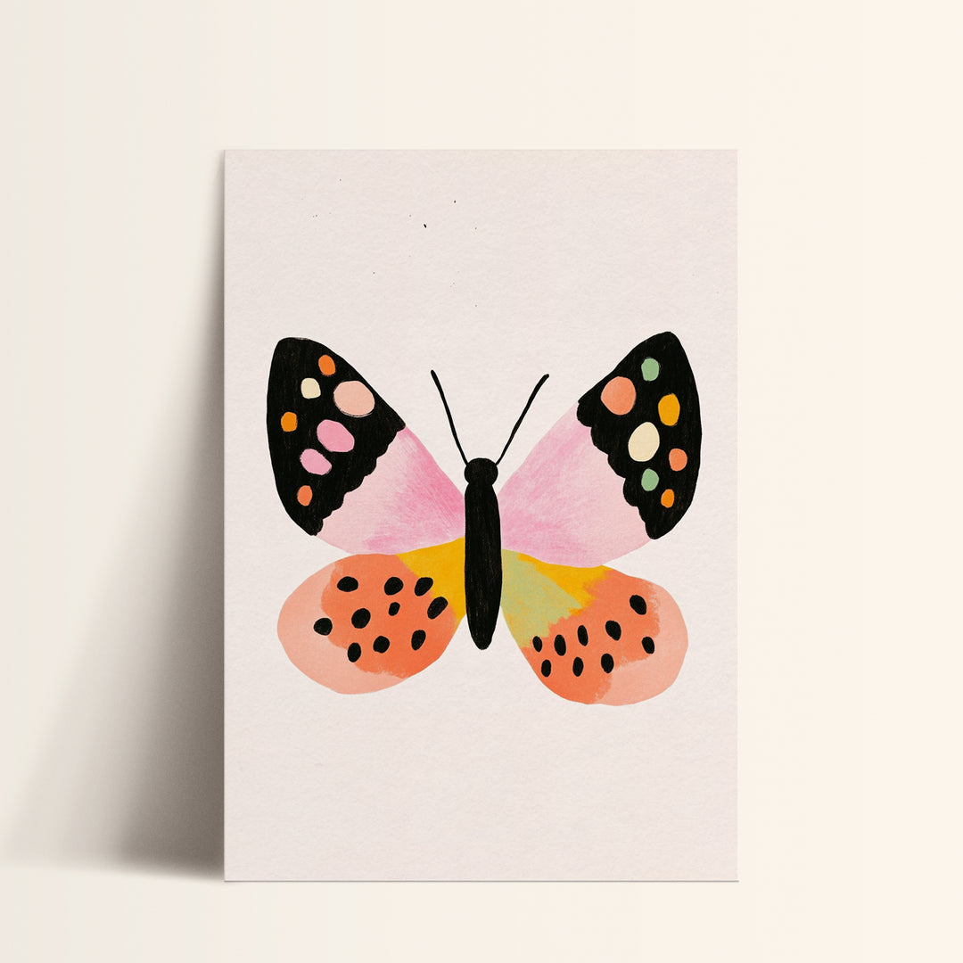 Colorful Butterfly